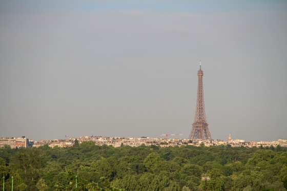Julia Willard, Falling Off Bicycles, Atrium Hotel, Eiffel Tower, Suresnes, Paris